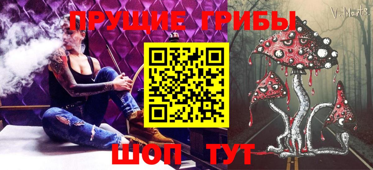Бахчисарай  Галлюциногенные грибы Cubensis  Галлюциногенные грибы Cubensis  Вход с VPN 