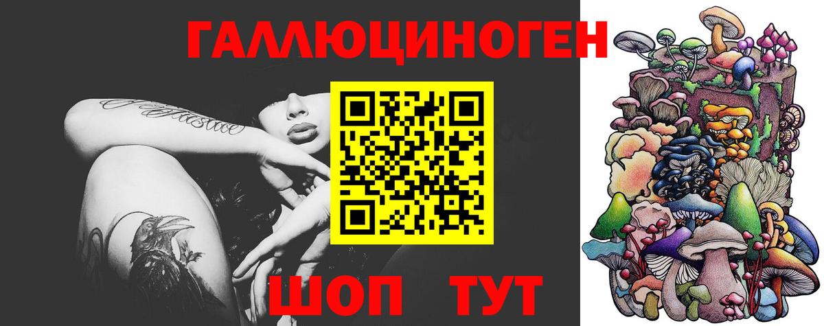 Галлюциногенные грибы Psilocybine cubensis Бахчисарай